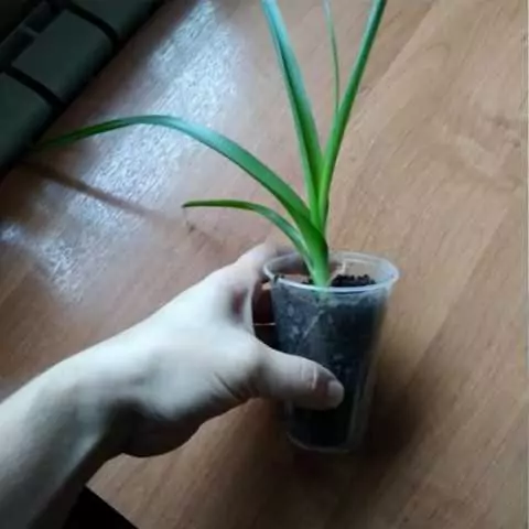 реальная мистическая история