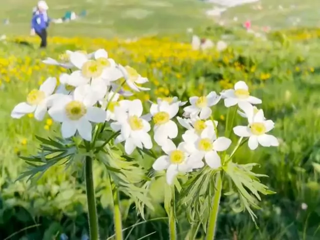 Почему снятся бывшие в пятницу