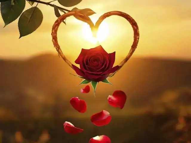 Снится к замужеству